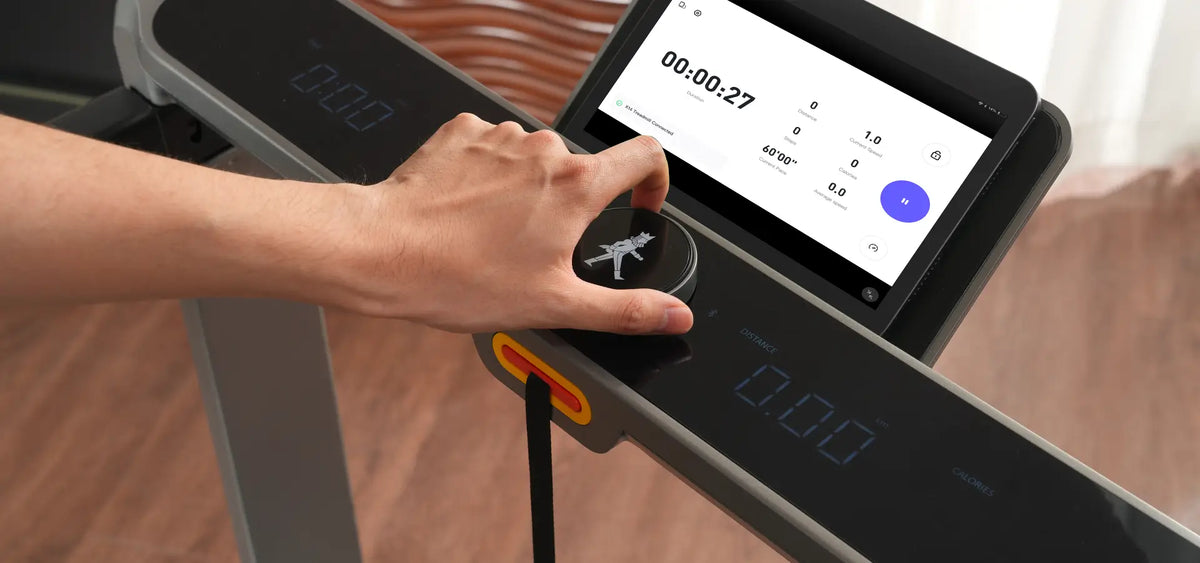 EU Kingsmith