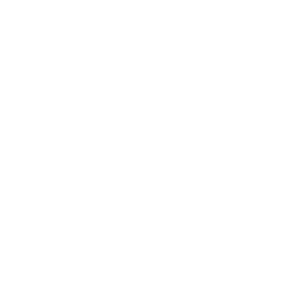 <p>1 - 12 KMH speed range</p>